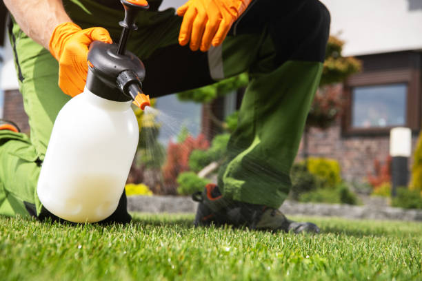 Best Local Pest Control Services  in Clover Creek, WA