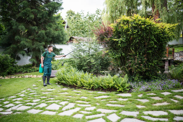 Pest Control Cost in Clover Creek, WA