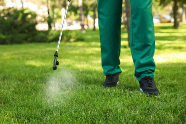 Best Affordable Pest Control Services  in Clover Creek, WA