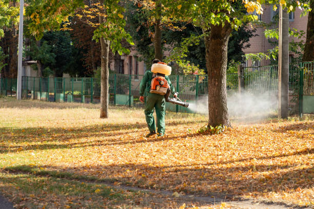 Best Rodent Control Near Me  in Clover Creek, WA